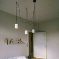3 Archy Cluster Hooked
